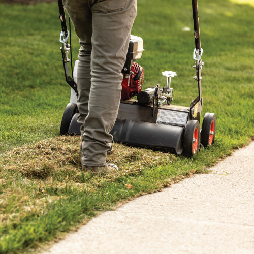 Bobcat DT18 Push Dethatcher Turf Equipment Solutions
